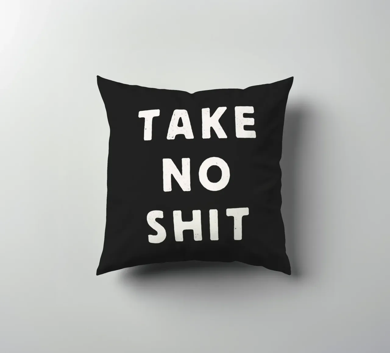 Take No Shit Sassy Sarcastic Typography Print in Black White decorative cushion by THE MOTIVATED TYPE