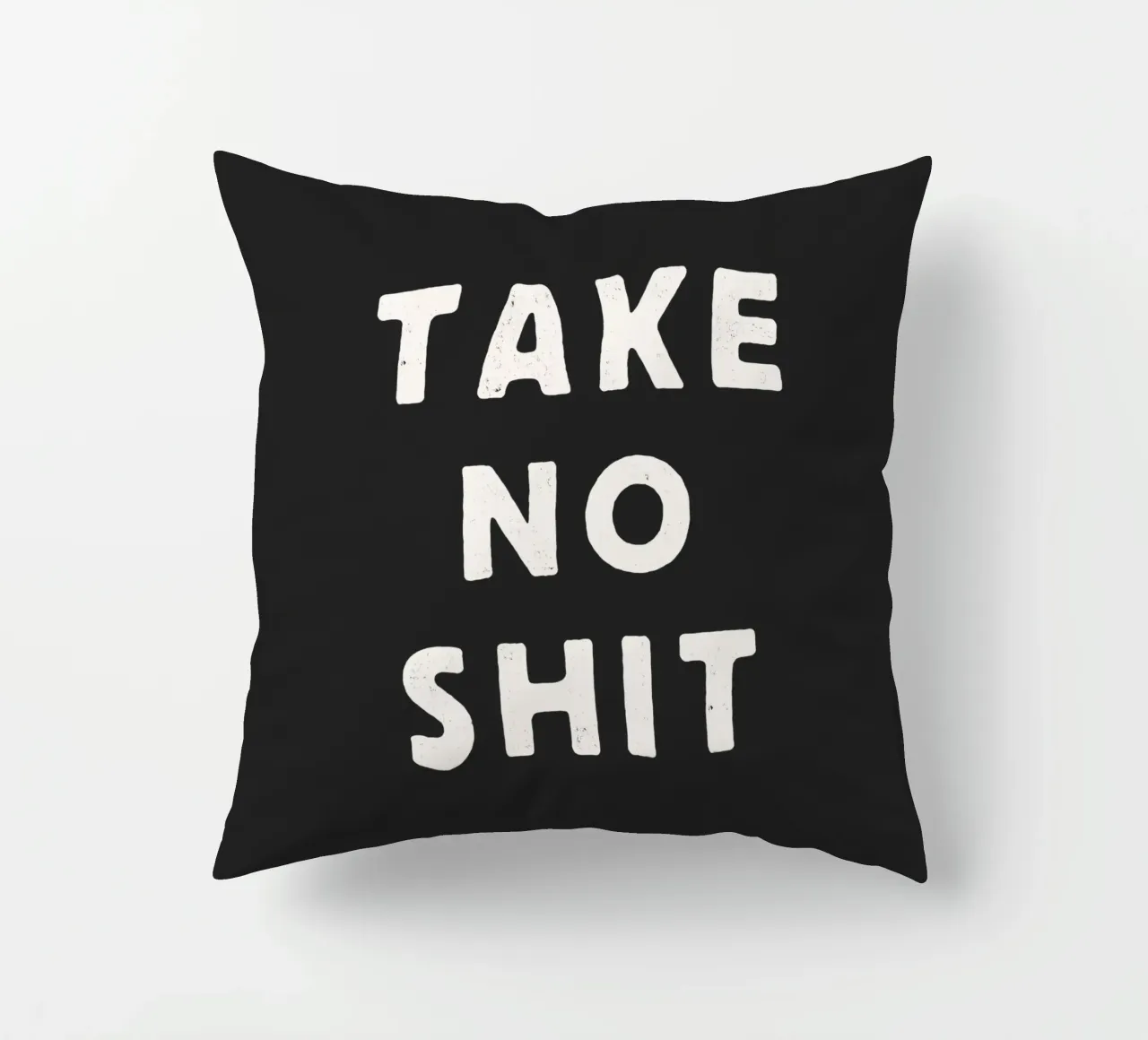 Take No Shit Sassy Sarcastic Typography Print in Black White decorative cushion by THE MOTIVATED TYPE