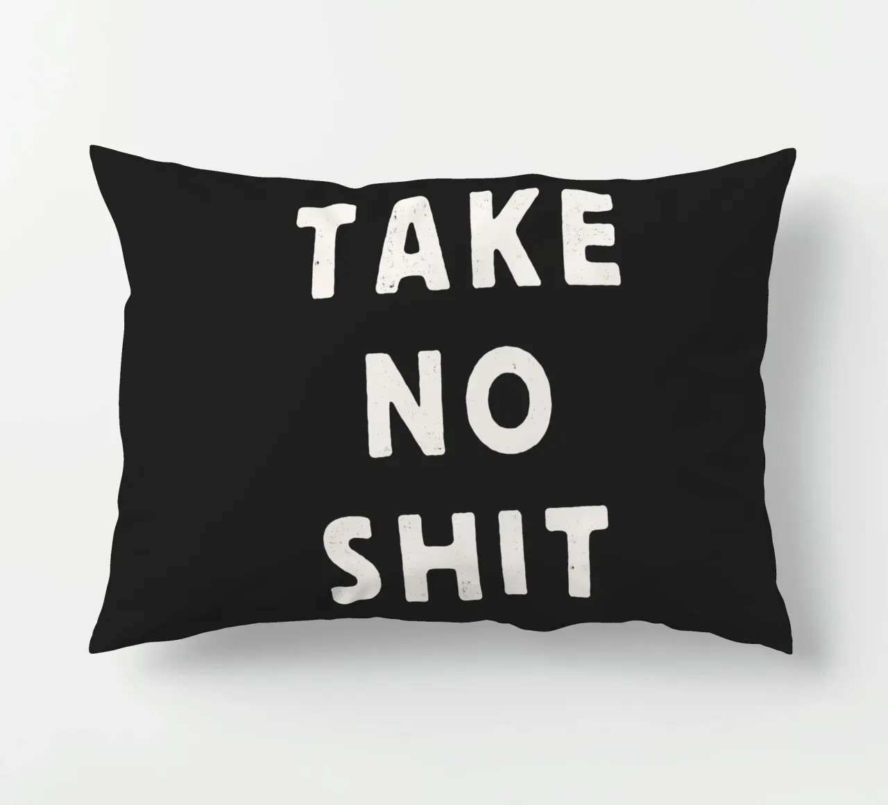 Take No Shit Sassy Sarcastic Typography Print in Black White decorative cushion by THE MOTIVATED TYPE