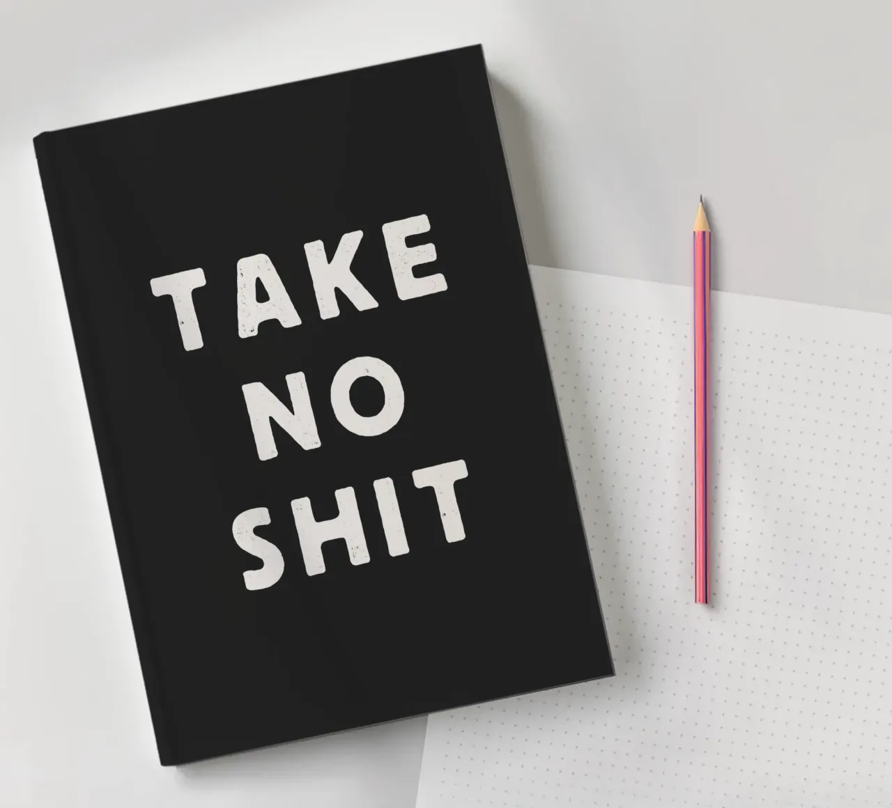 Take No Shit Sassy Sarcastic Typography Print in Black White notebook by THE MOTIVATED TYPE