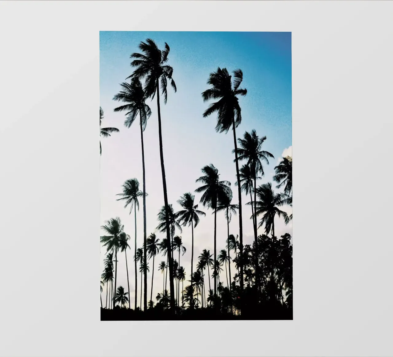 Palms at Dusk telo in pvc da METROPOLIS