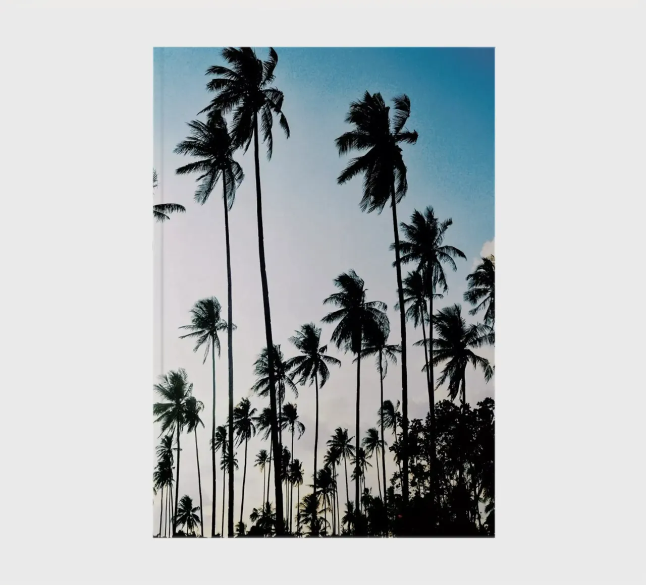 Palms at Dusk notebook by METROPOLIS