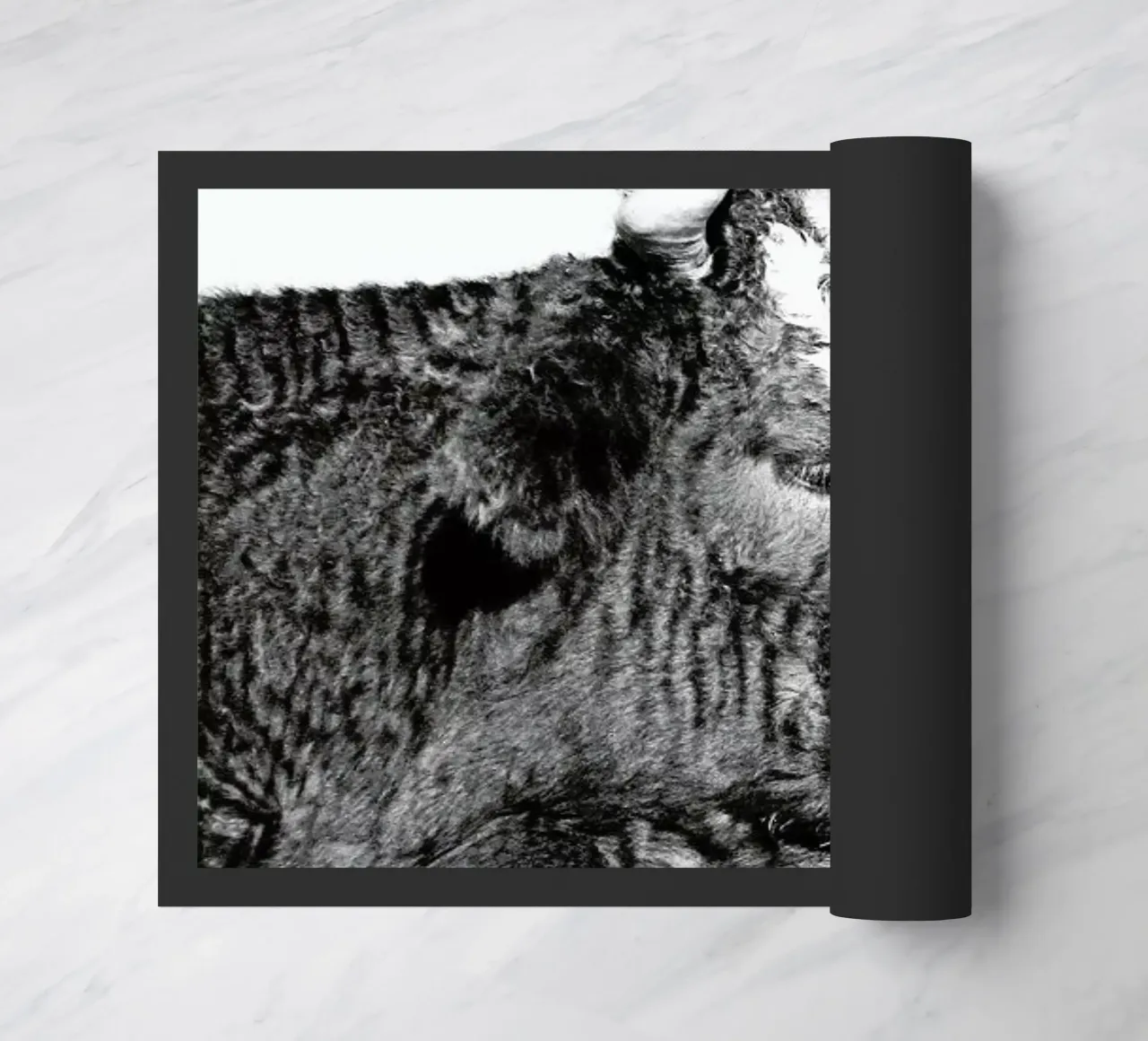 Bull zerbino da Natural Kingdom