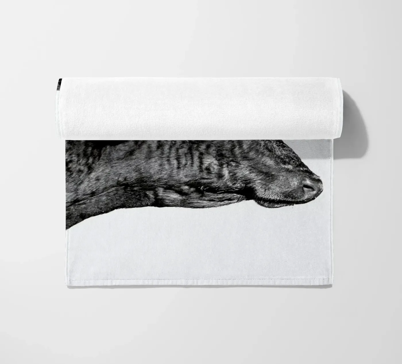 Bull telo mare da Natural Kingdom