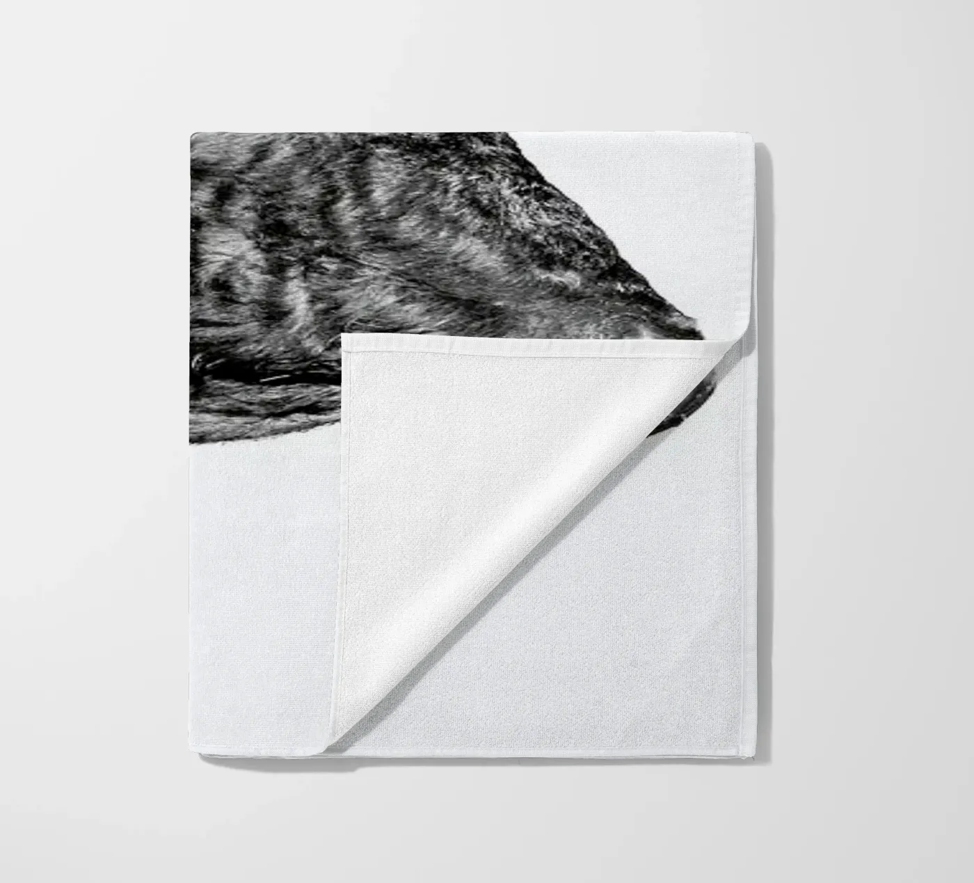 Bull telo mare da Natural Kingdom