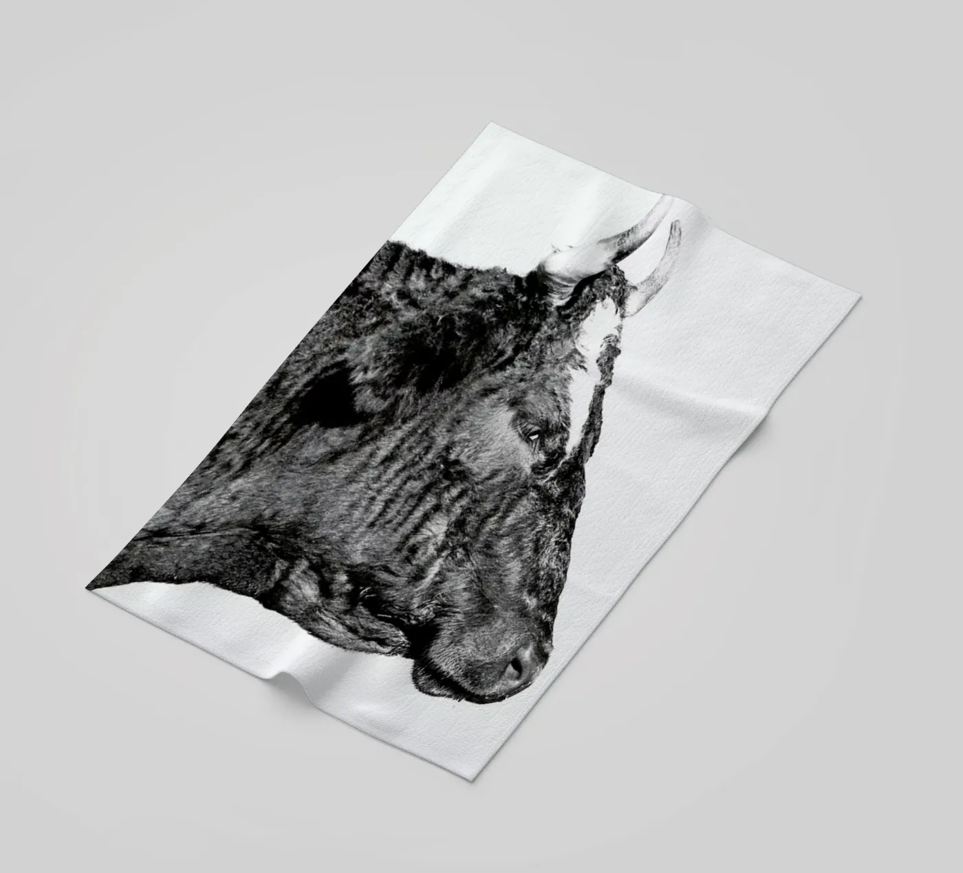 Bull telo mare da Natural Kingdom