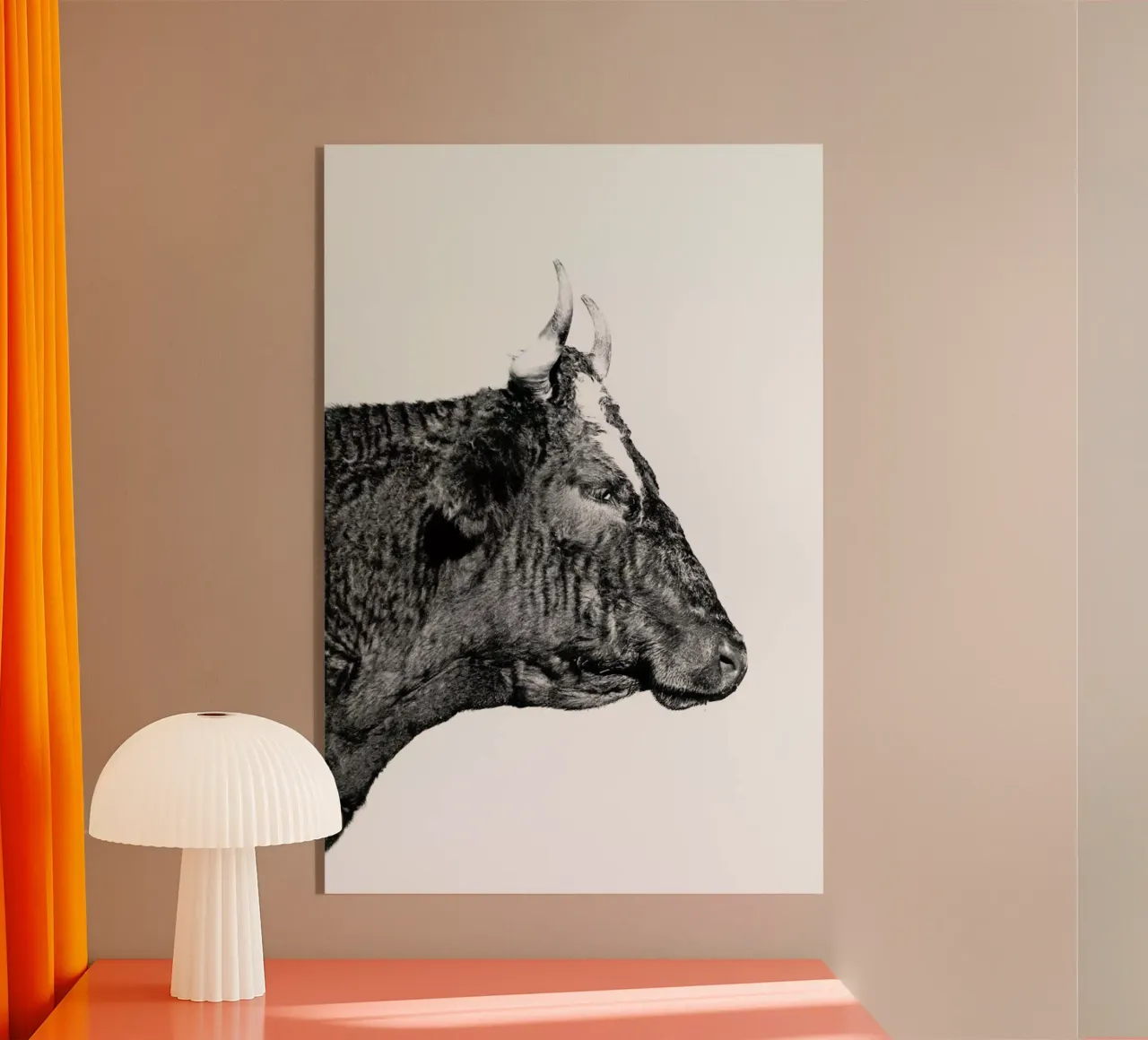 Bull plexiglass da Natural Kingdom