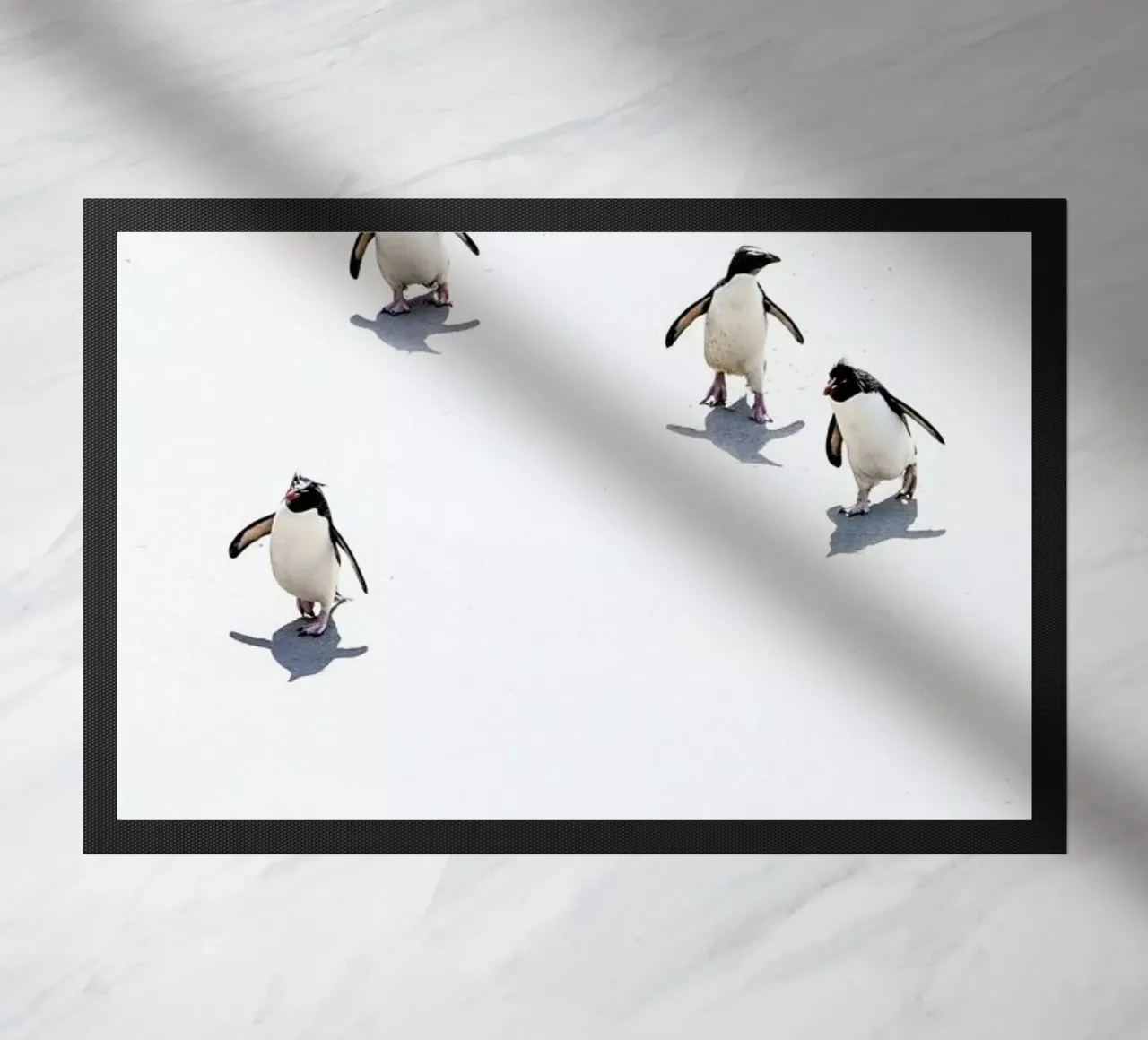Snow Penguins III zerbino da Natural Kingdom