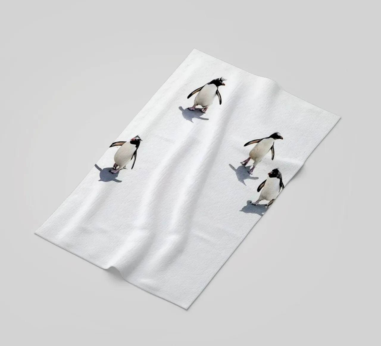 Snow Penguins III telo mare da Natural Kingdom