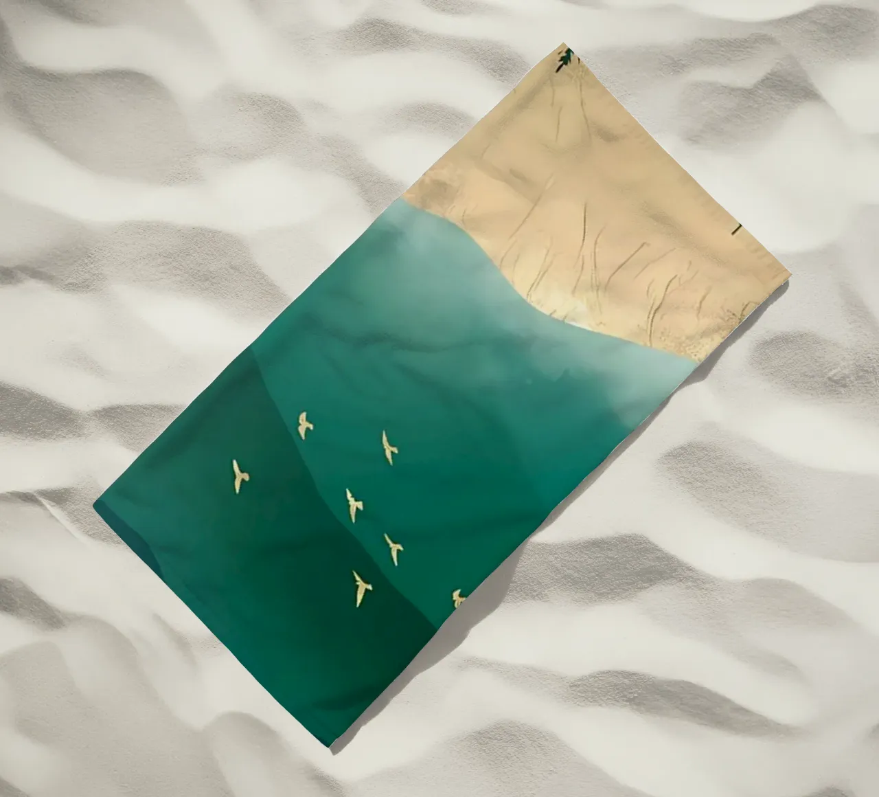 Escursioni telo mare da Albert S Jacob