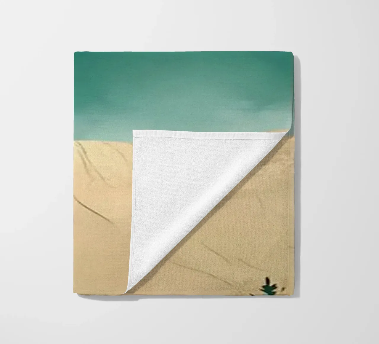 Escursioni telo mare da Albert S Jacob