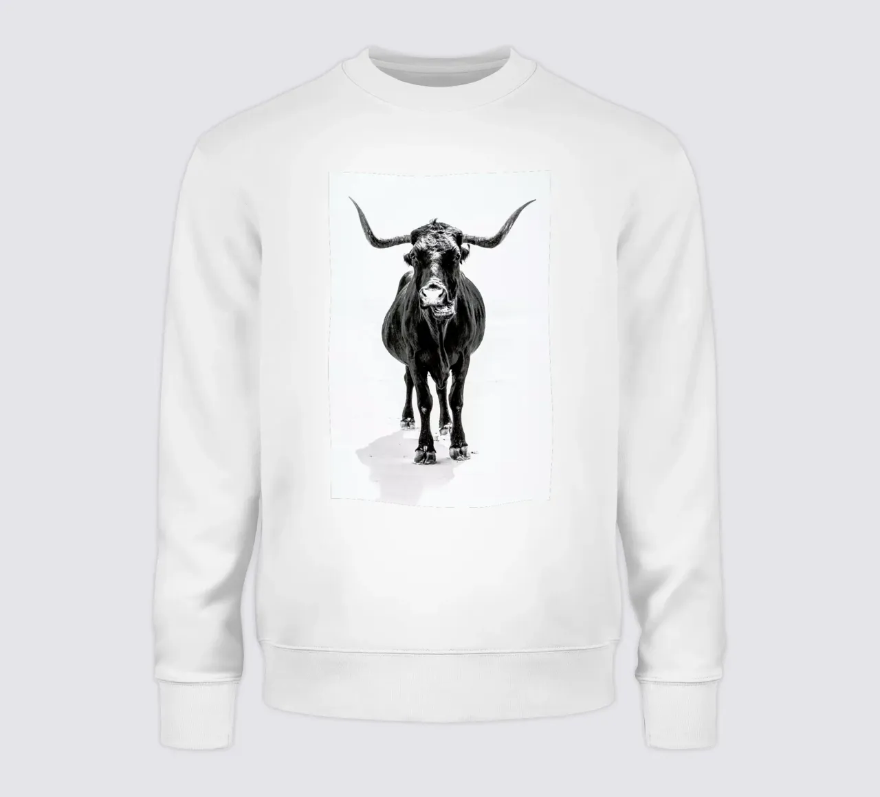 Stand Down felpa da Natural Kingdom