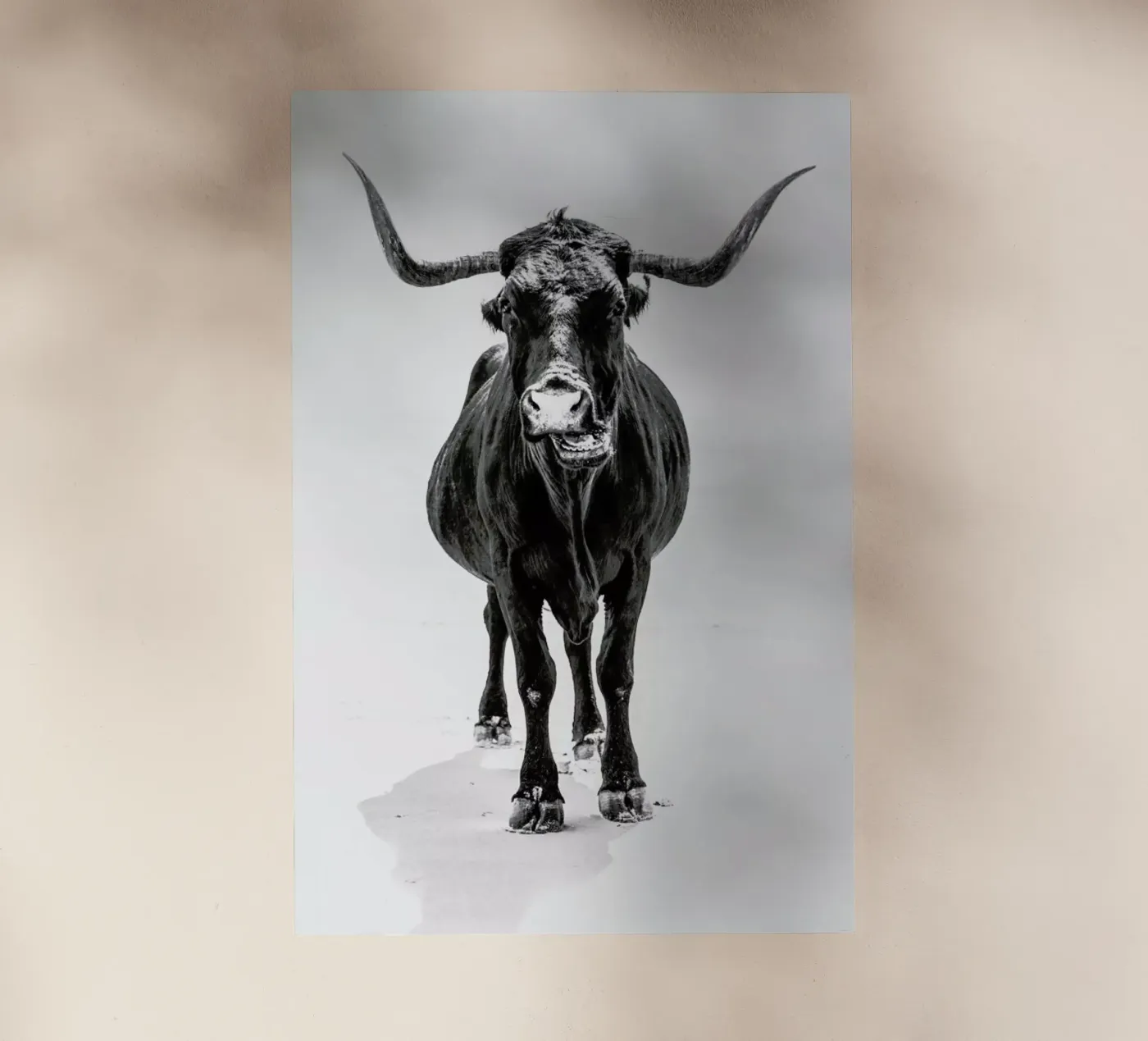 Stand Down pellicola backlit da Natural Kingdom