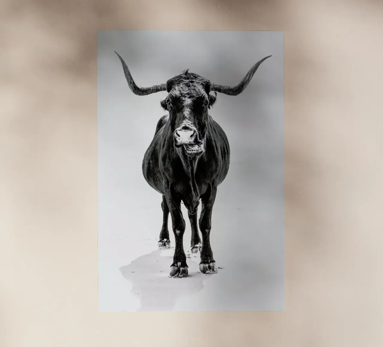 Stand Down pellicola backlit da Natural Kingdom