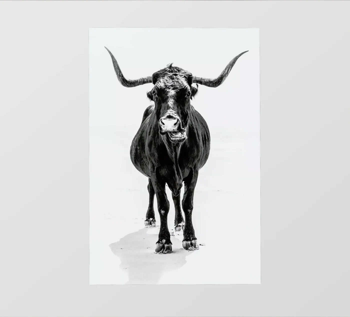 Stand Down pellicola backlit da Natural Kingdom