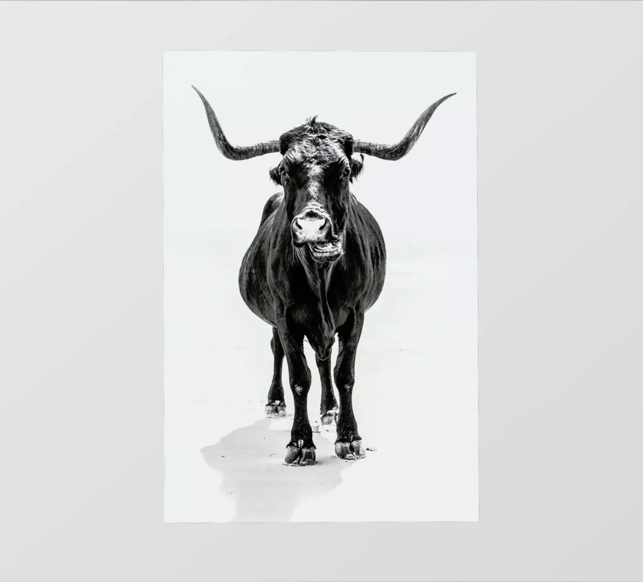 Stand Down pellicola backlit da Natural Kingdom