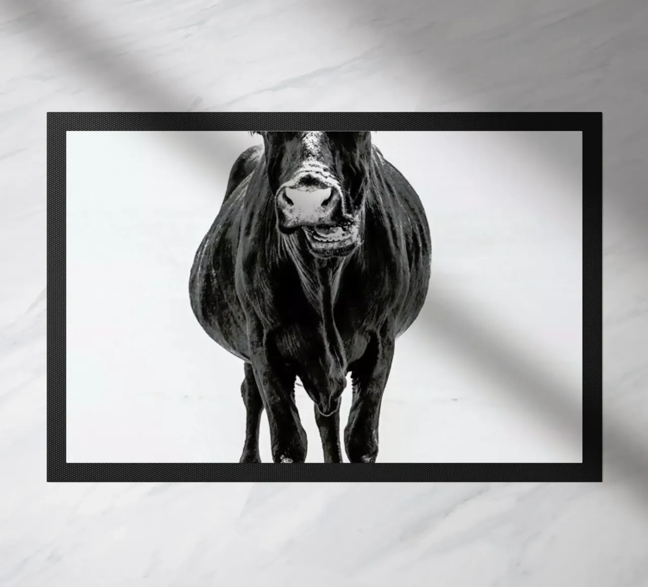 Stand Down zerbino da Natural Kingdom