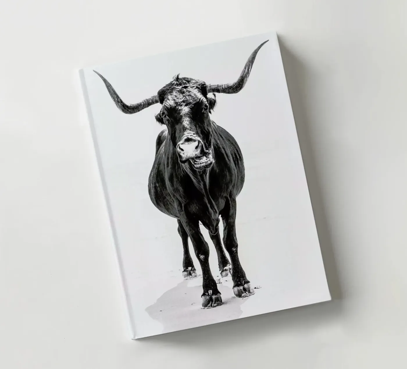 Stand Down notebook by Natural Kingdom