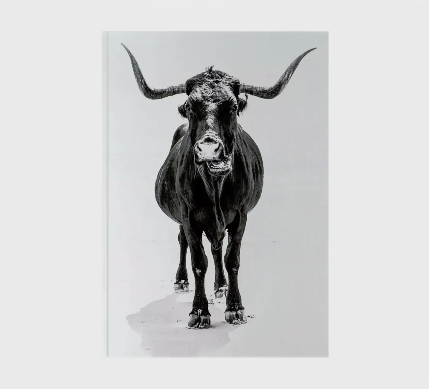 Stand Down notebook by Natural Kingdom