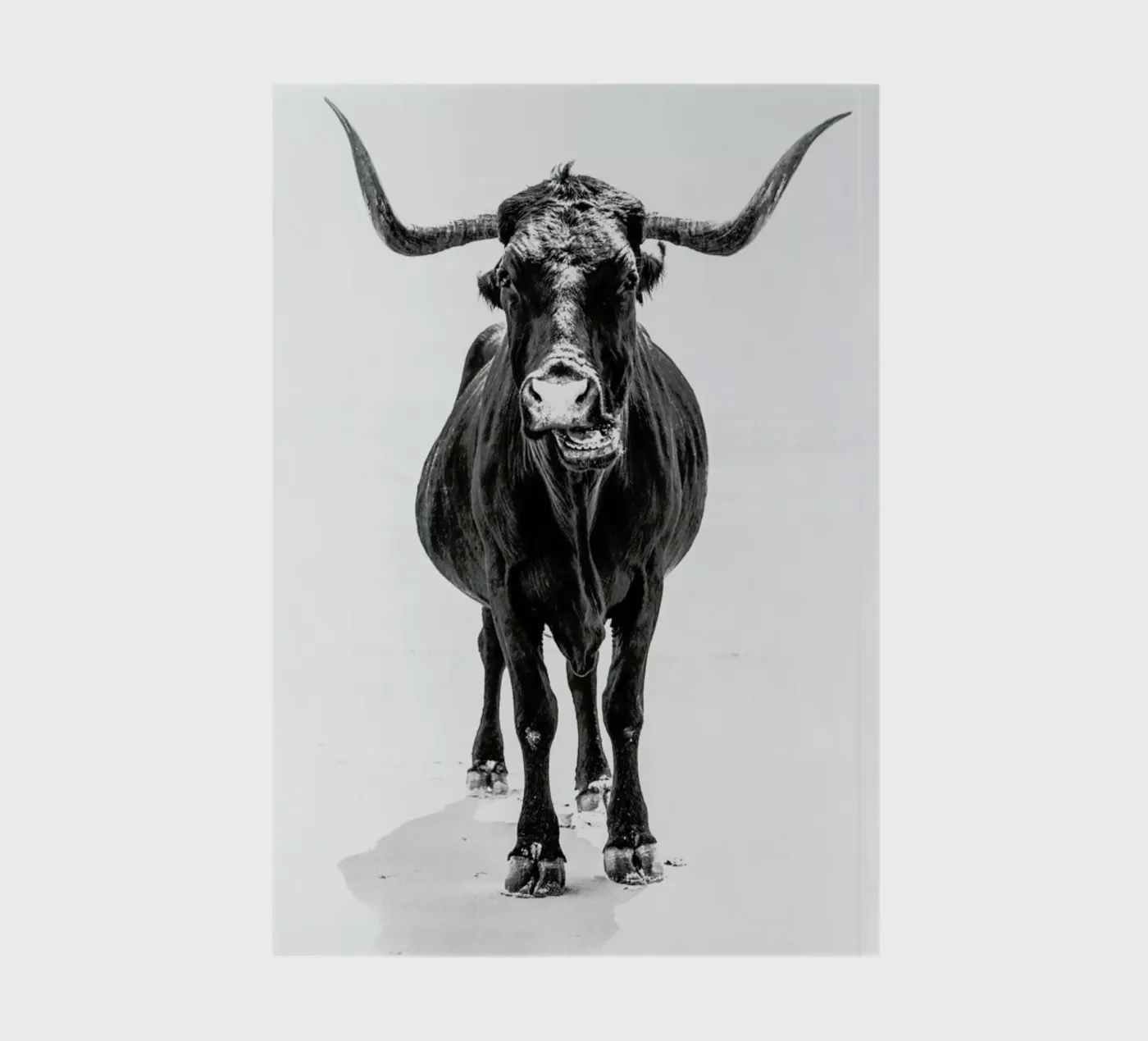 Stand Down notebook by Natural Kingdom