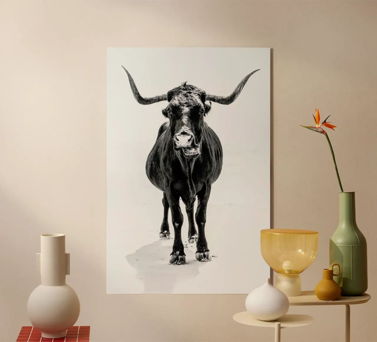 Stand Down plexiglass da Natural Kingdom