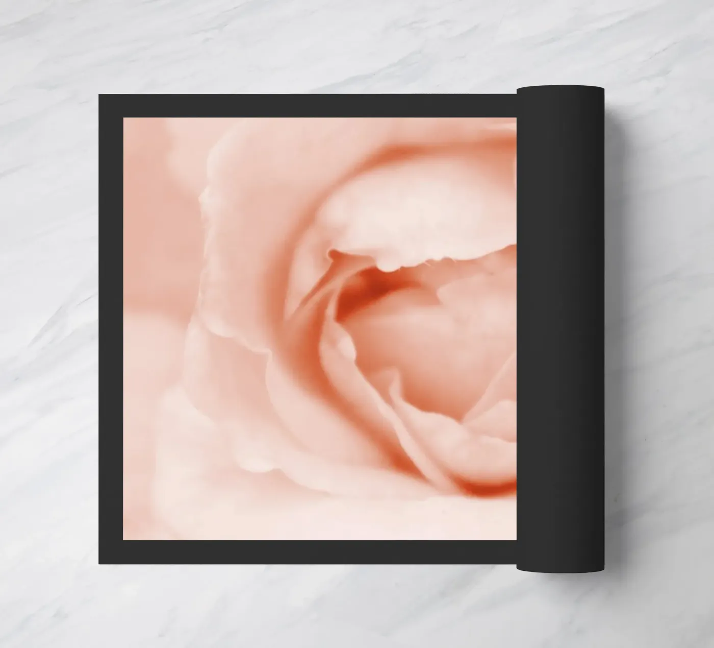 Peonia dolce zerbino da Moon  Bloom