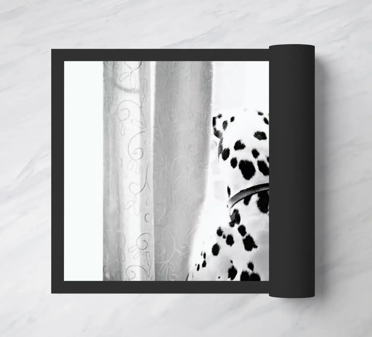 Curiosity zerbino da Natural Kingdom