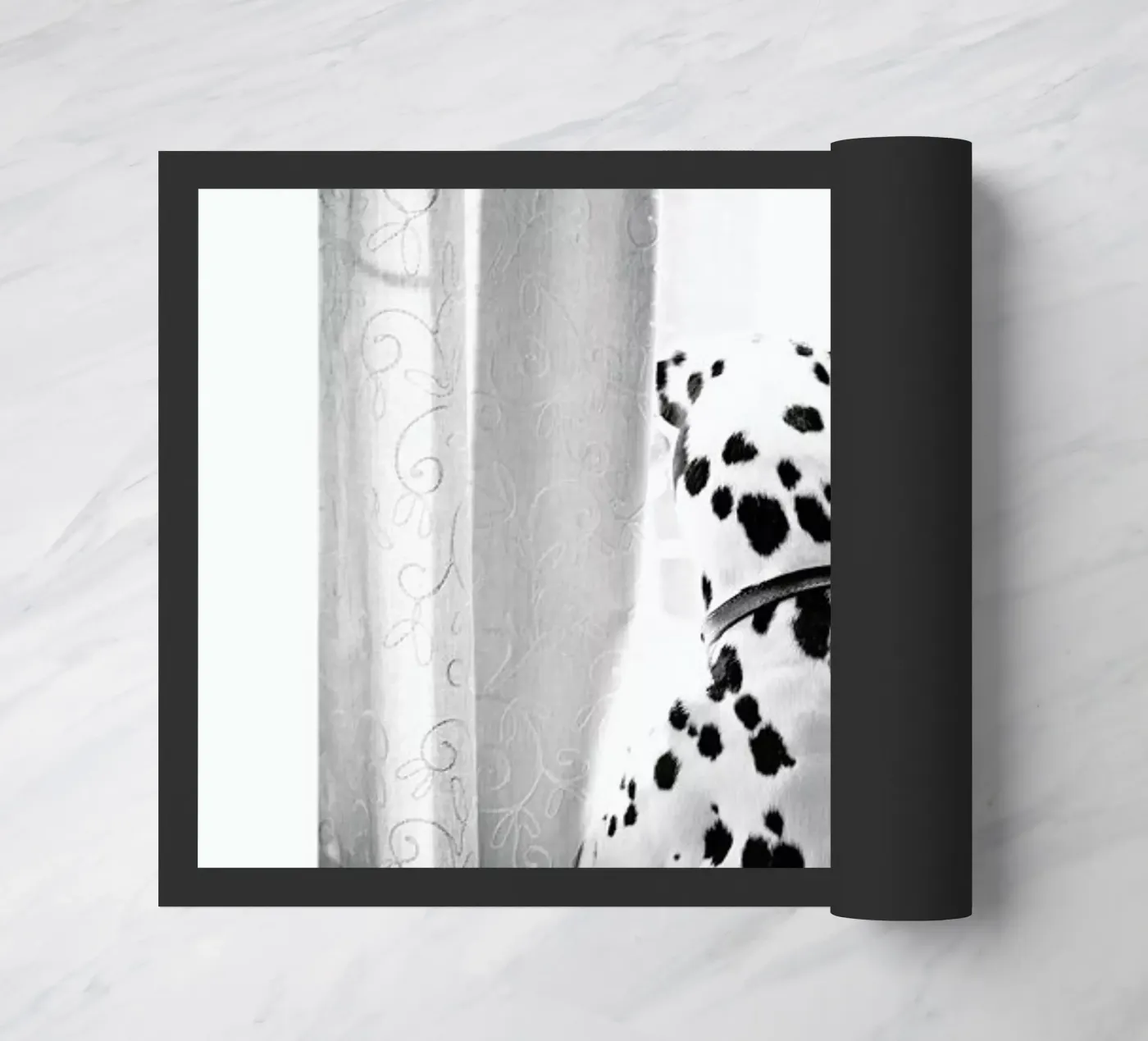 Curiosity Fußmatte von Natural Kingdom