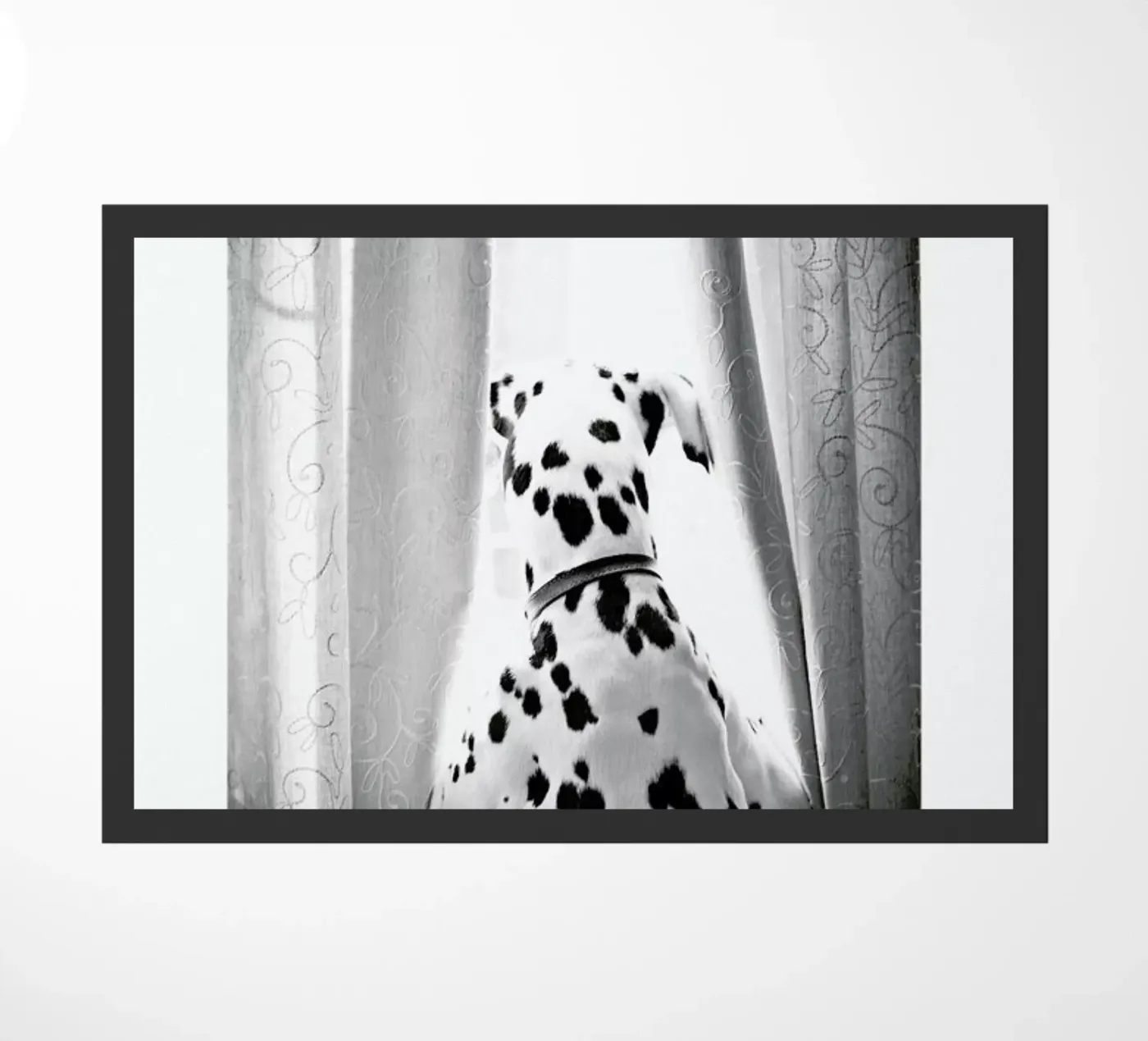 Curiosity Fußmatte von Natural Kingdom