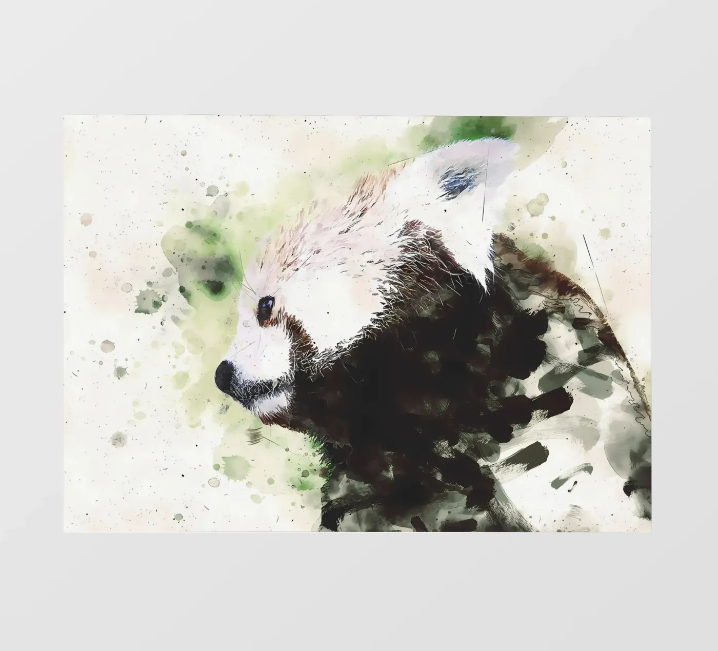 Panda dipinto pellicola backlit da James M Coyle