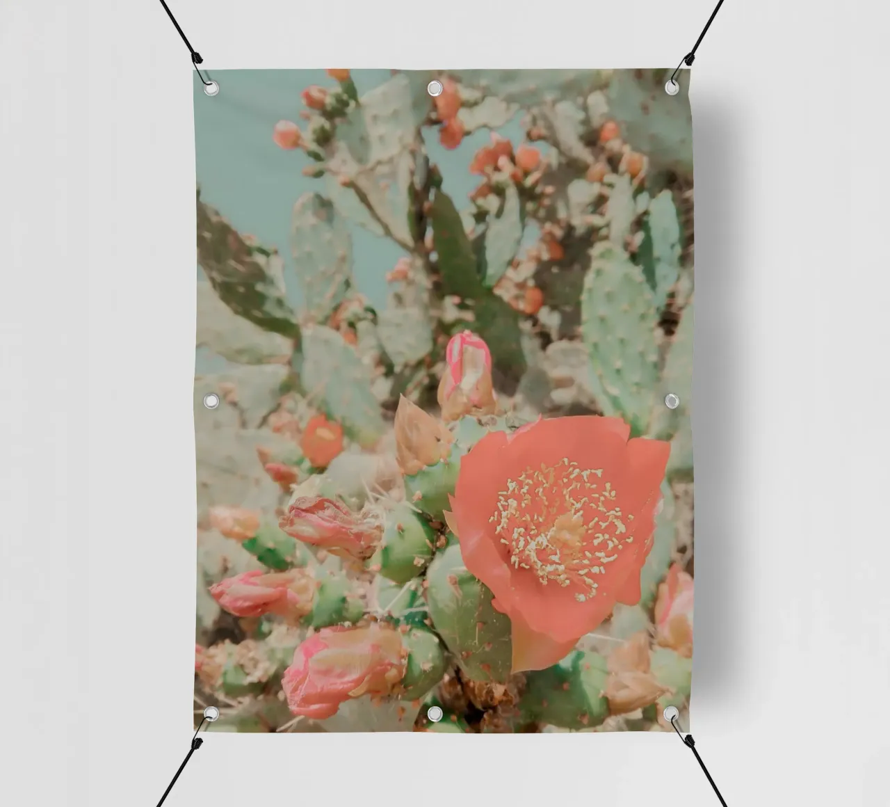 Fiori del deserto 2 telo in pvc da Moon  Bloom