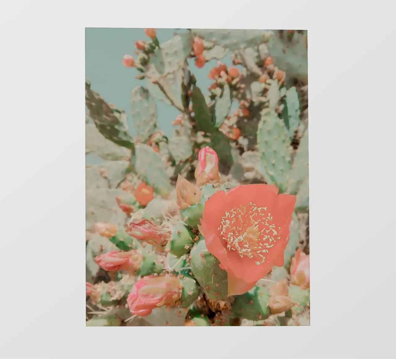 Fiori del deserto 2 telo in pvc da Moon  Bloom