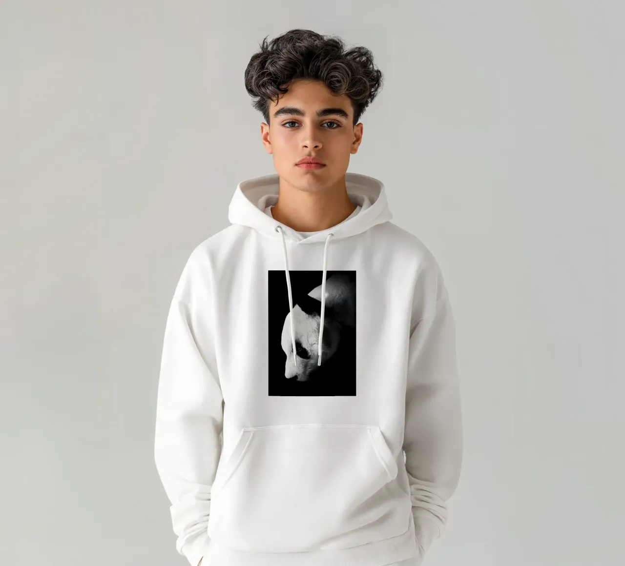 Immagine Panda in chiave Low Key felpa con cappuccio da James M Coyle