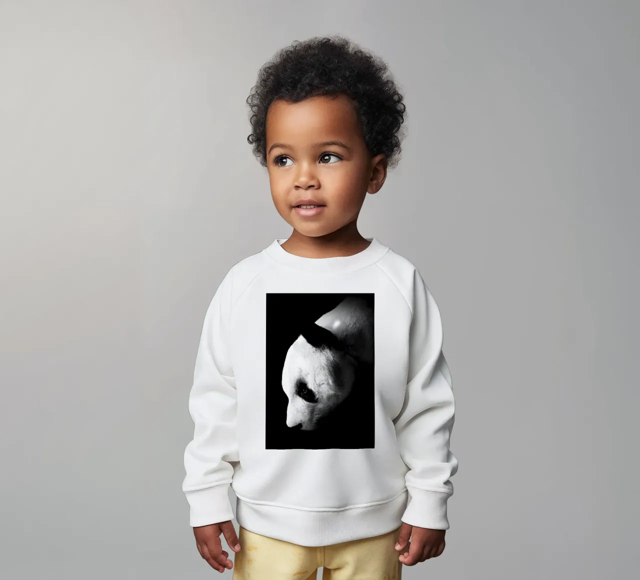 Immagine Panda in chiave Low Key felpa neonato da James M Coyle