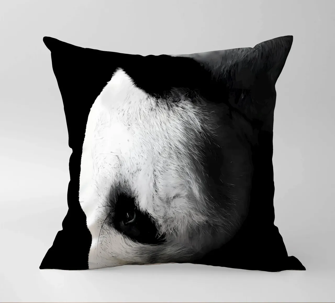 Immagine Panda in chiave Low Key cuscino da James M Coyle