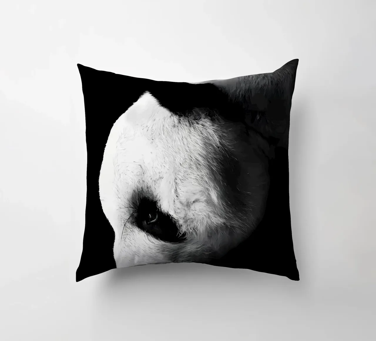 Immagine Panda in chiave Low Key cuscino da James M Coyle