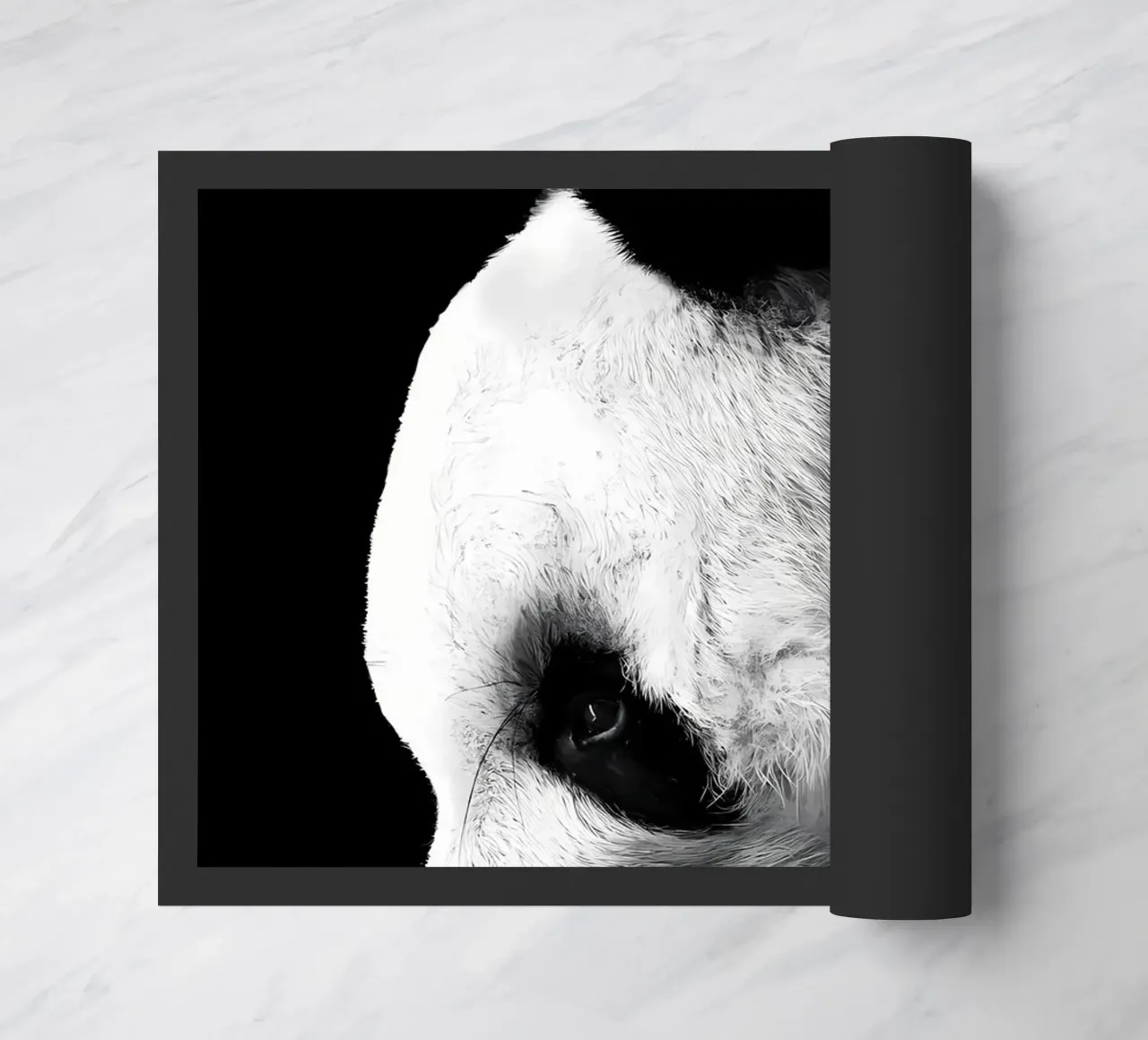 Immagine Panda in chiave Low Key zerbino da James M Coyle