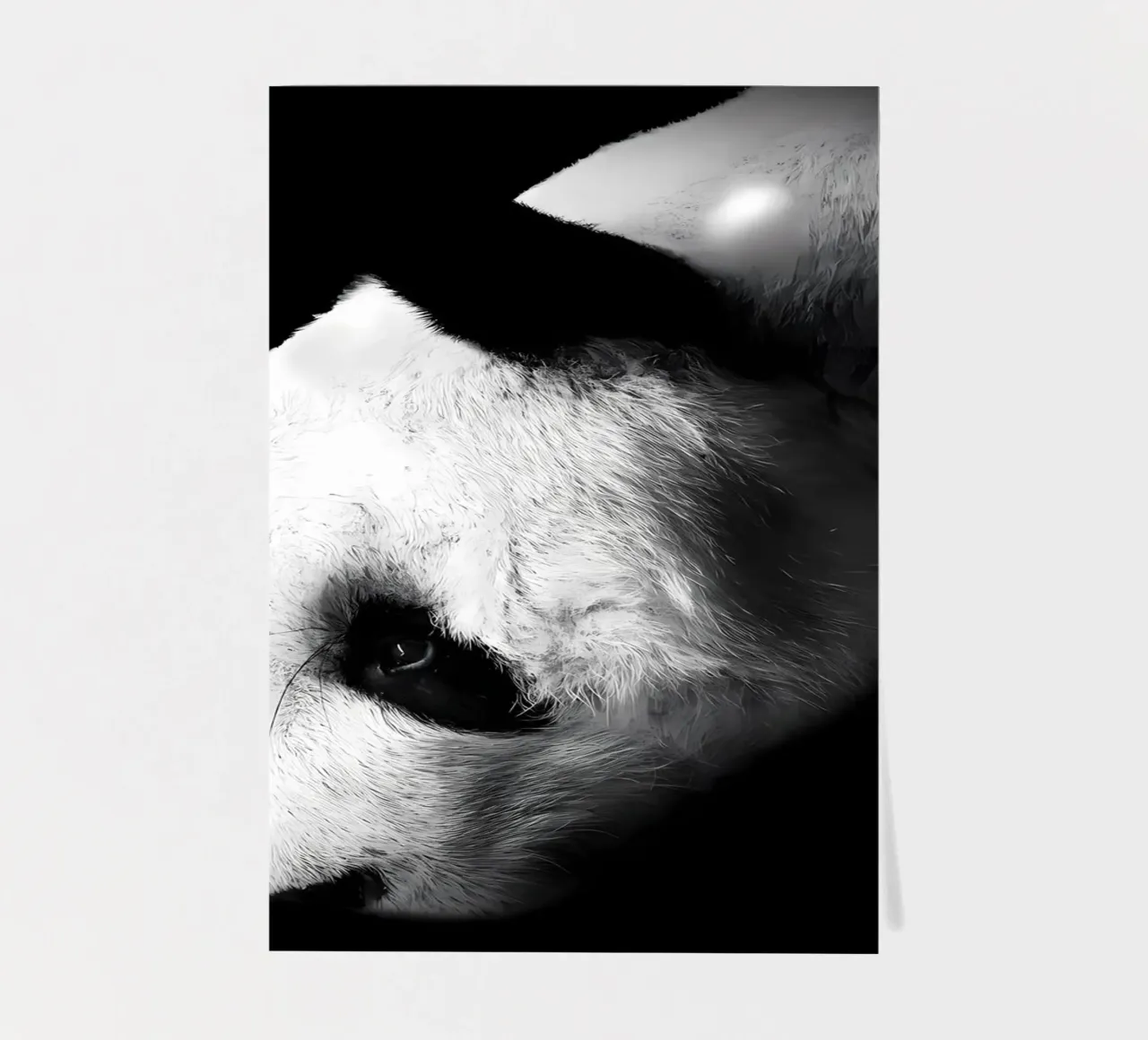 Immagine Panda in chiave Low Key foglio adesivo da James M Coyle