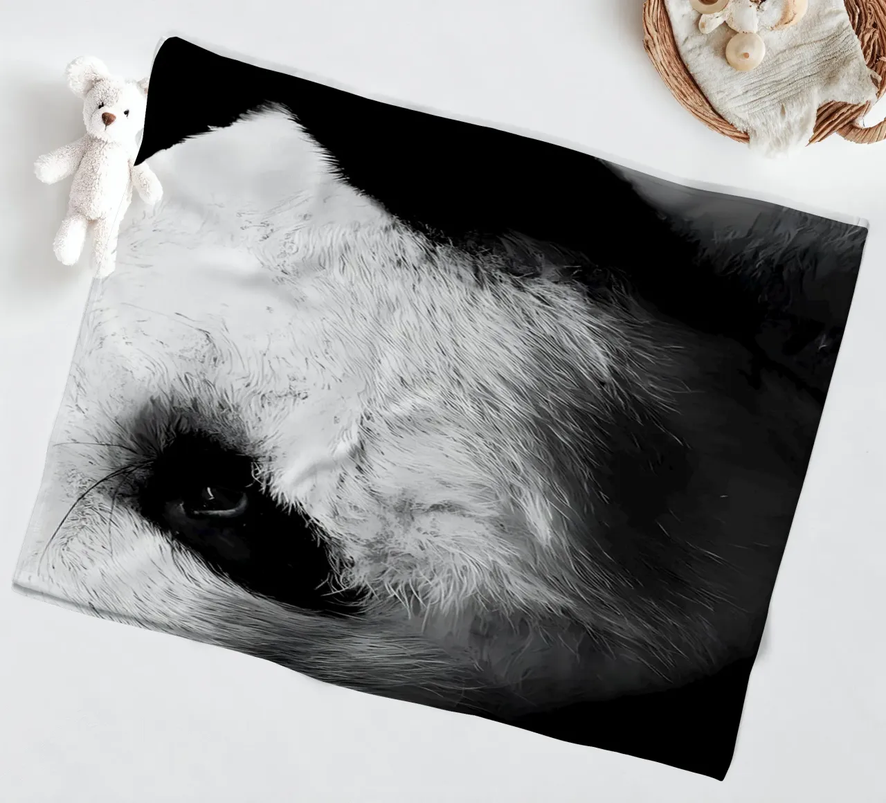 Immagine Panda in chiave Low Key coperta in pile da James M Coyle