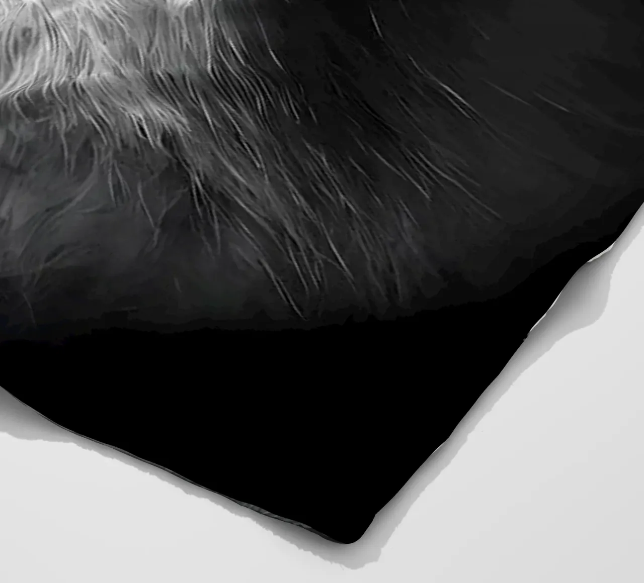 Immagine Panda in chiave Low Key coperta in pile da James M Coyle