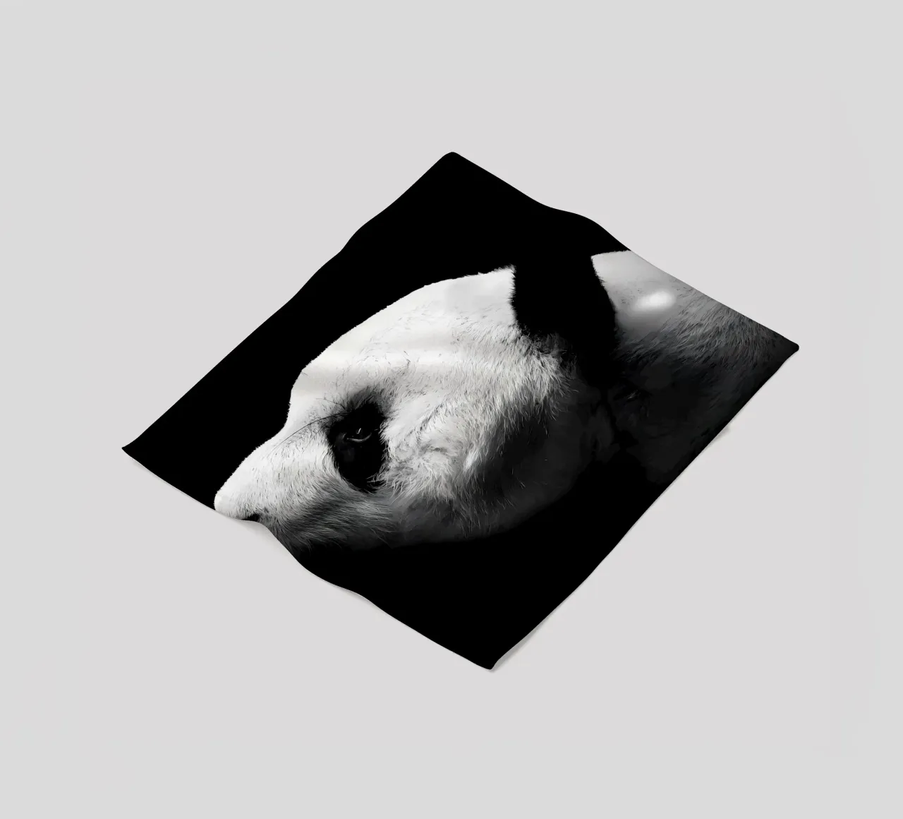 Immagine Panda in chiave Low Key coperta in pile da James M Coyle