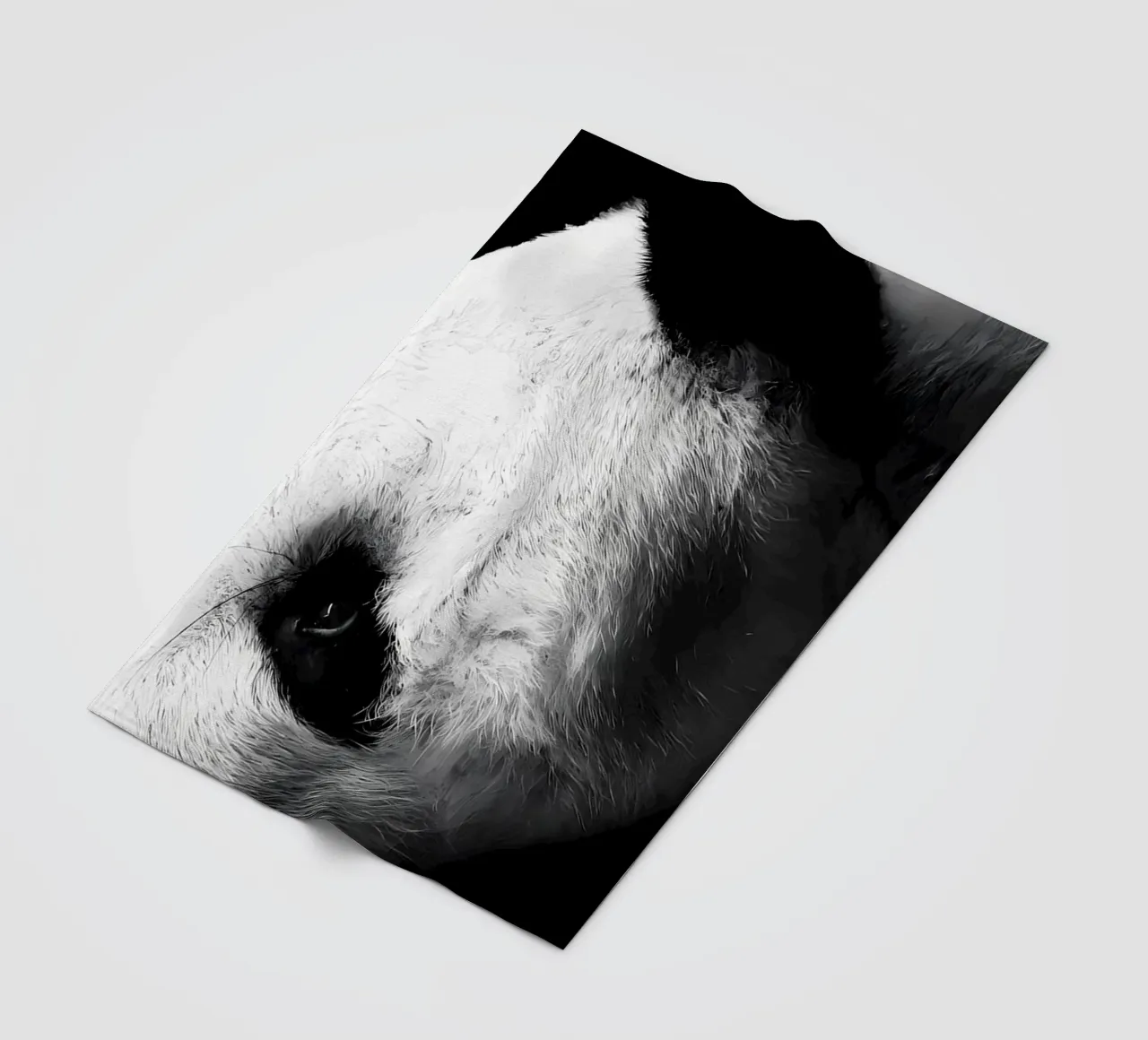 Immagine Panda in chiave Low Key coperta in pile da James M Coyle