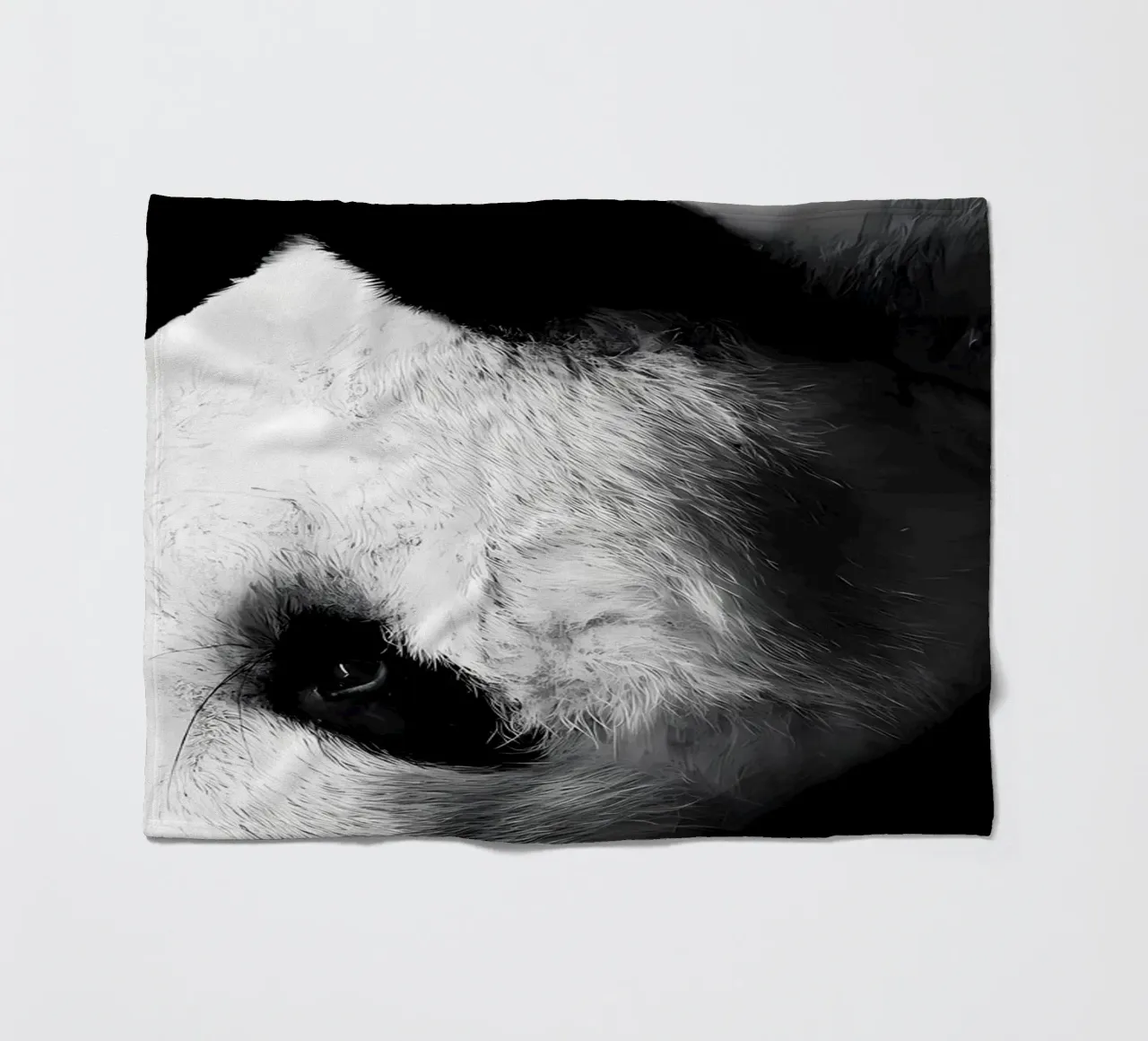Immagine Panda in chiave Low Key coperta in pile da James M Coyle