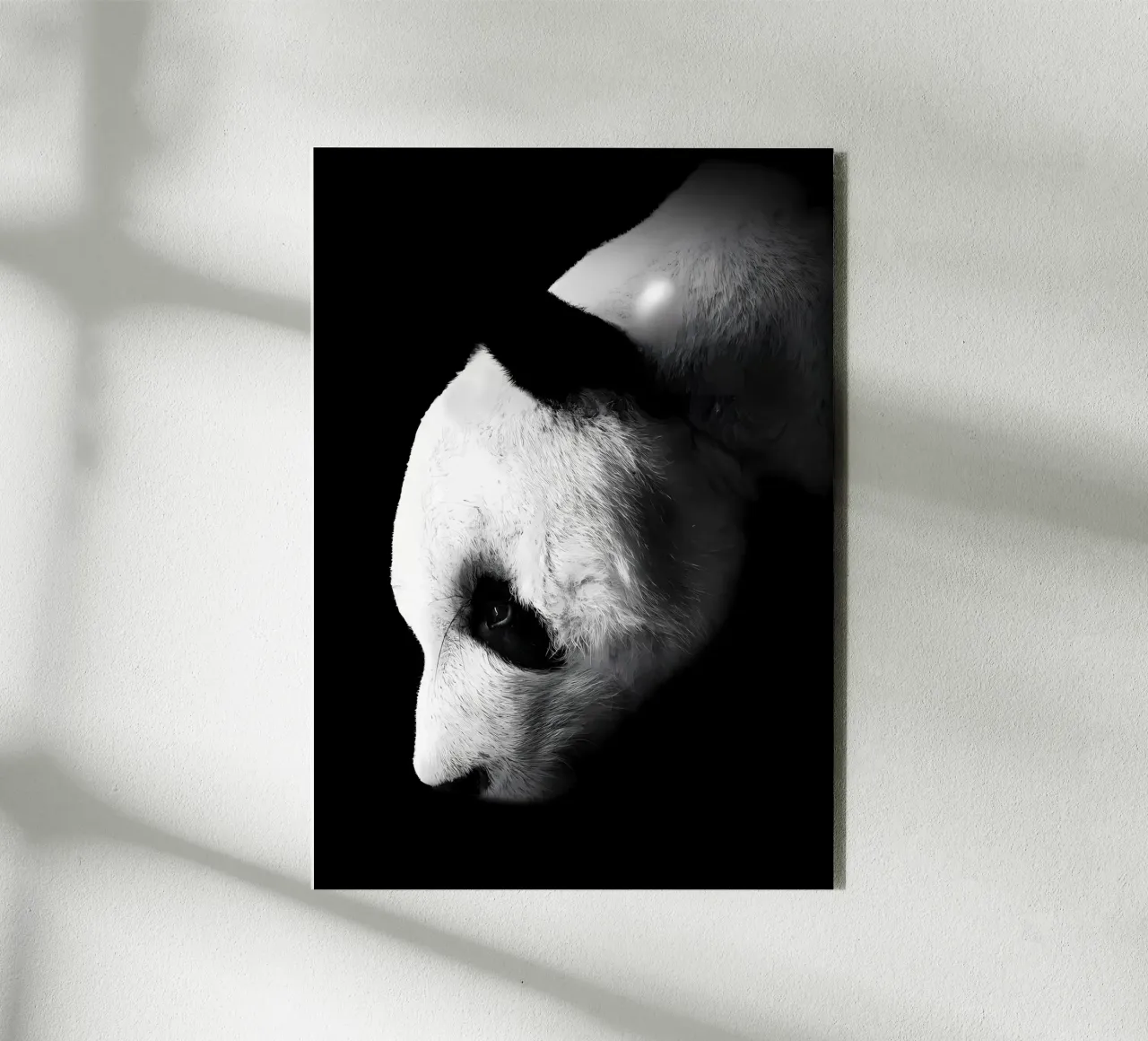 Immagine Panda in chiave Low Key alluminio dibond da James M Coyle