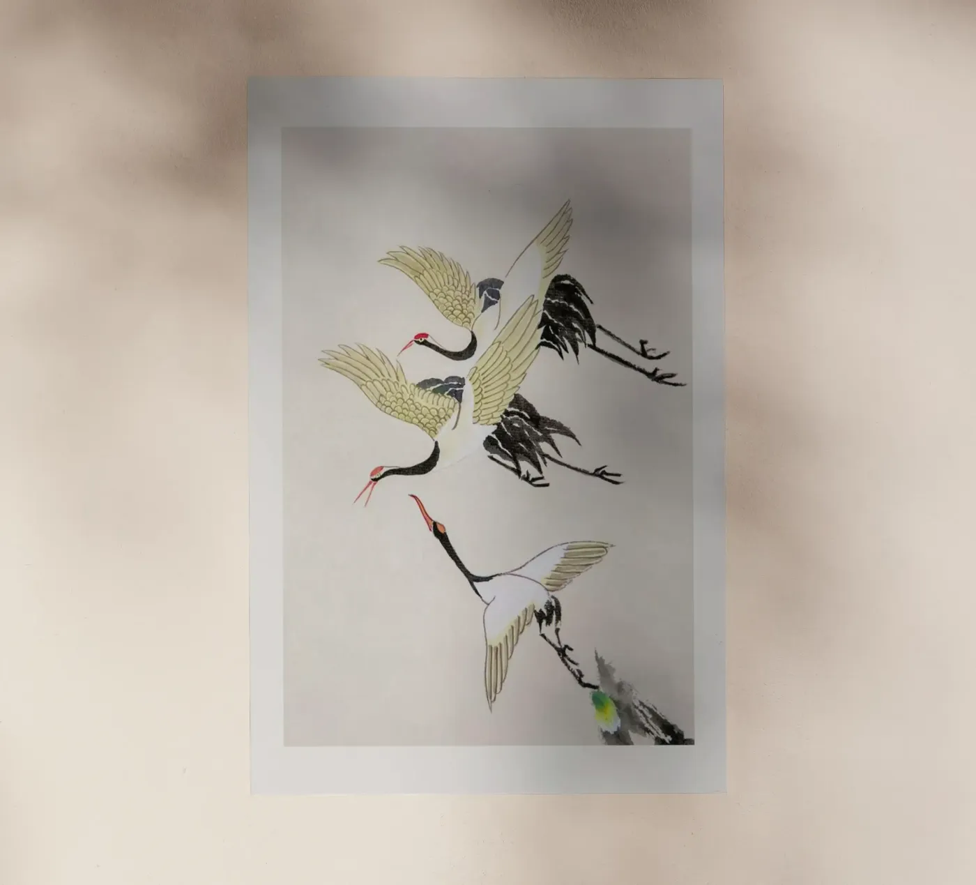 Swooping Cranes pellicola backlit da Flora & Fauna