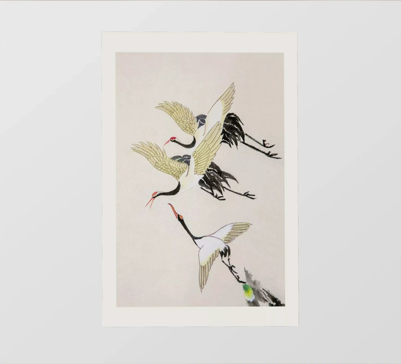 Swooping Cranes pellicola backlit da Flora & Fauna