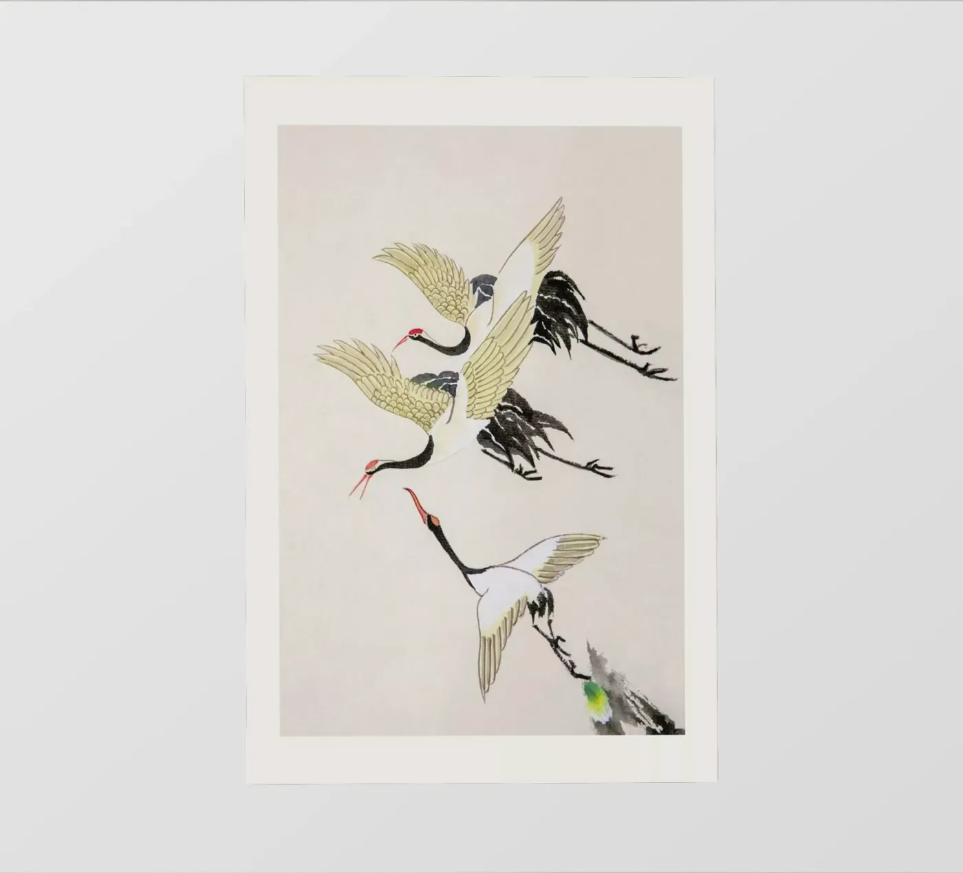 Swooping Cranes pellicola backlit da Flora & Fauna