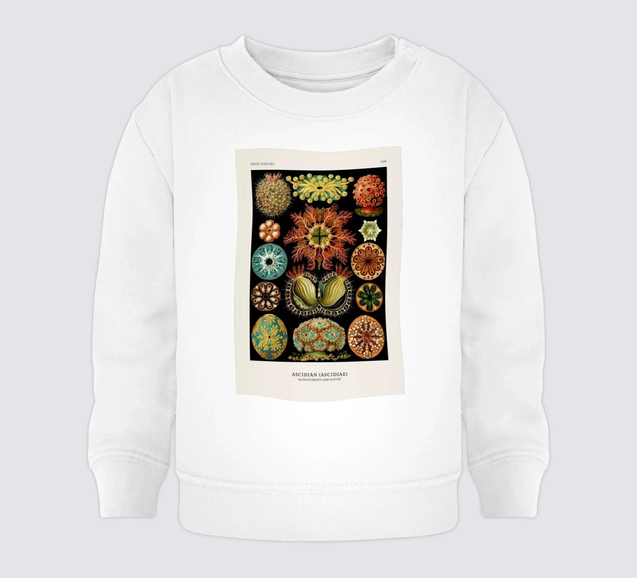 Haeckel - Ascidiae sudadera de bebé de ARTOTHEK
