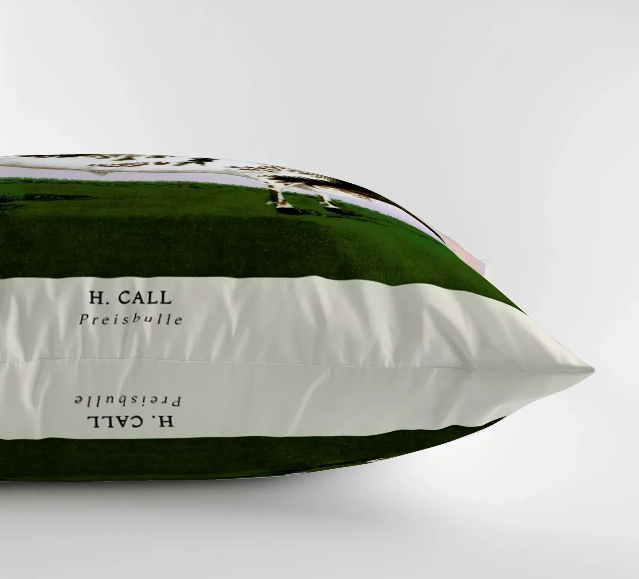 H. Call-Preisbulle cuscino da ARTOTHEK