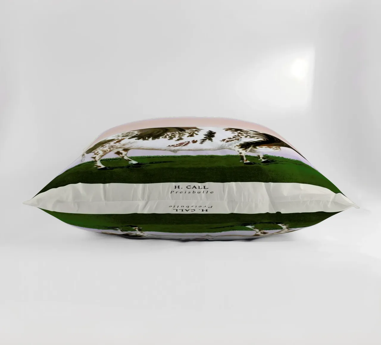 H. Call-Preisbulle cuscino da ARTOTHEK